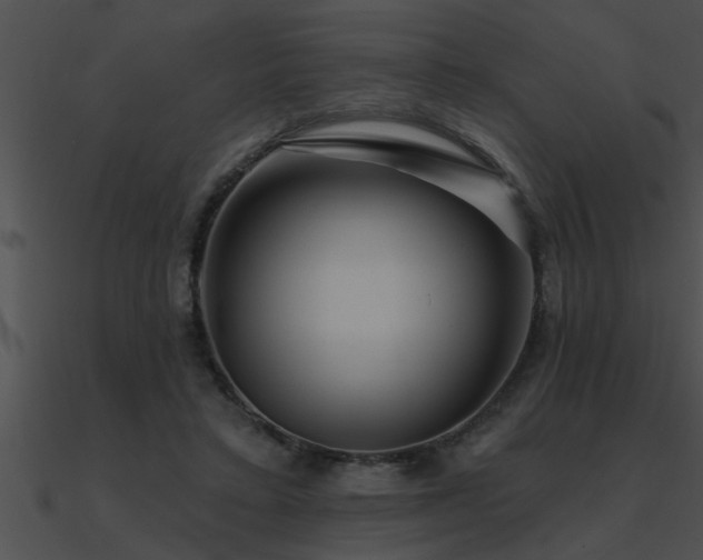 X0000090980403200708021503