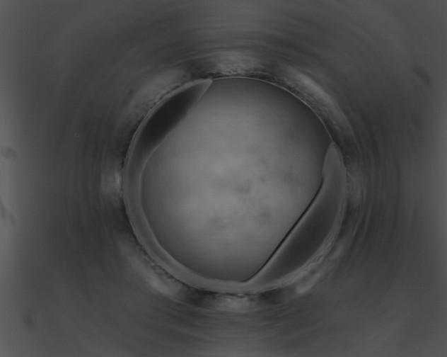 X0000090980405200708021503