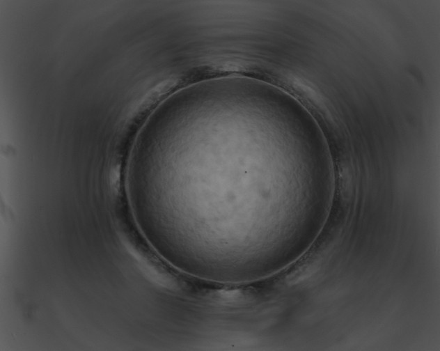 X0000090980406200708021503