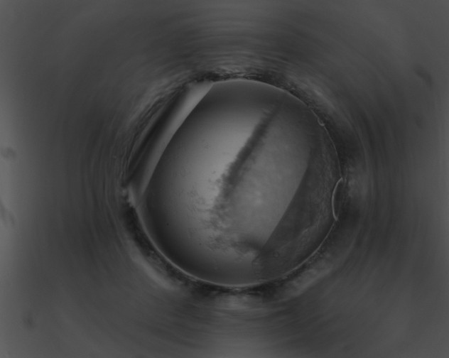 X0000090980408200708021503