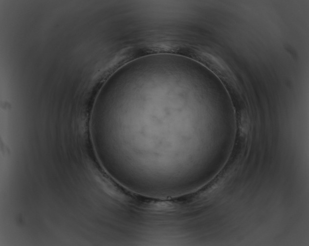 X0000090980409200708021503
