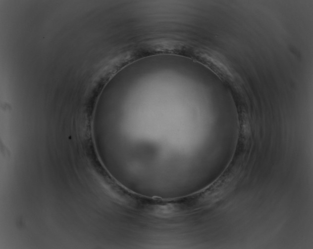 X0000090980411200708021503