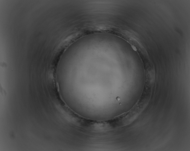 X0000090980415200708021503
