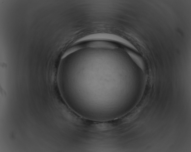X0000090980417200708021503