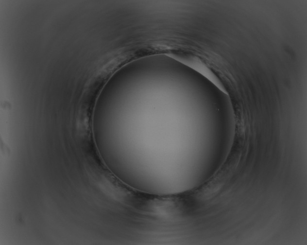 X0000090980418200708021503