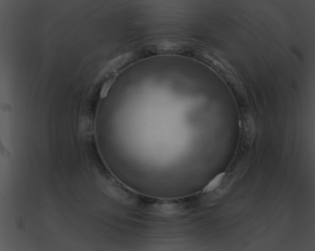 X0000090980419200708021503