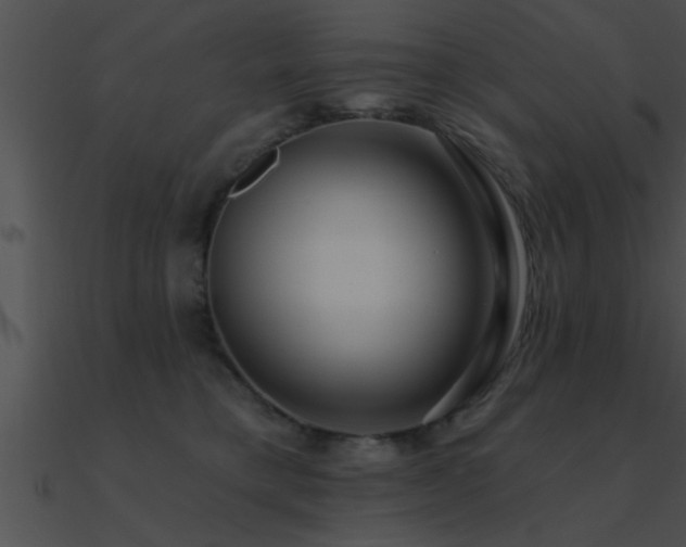 X0000090980421200708021503