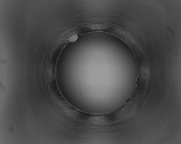 X0000090980422200708021503