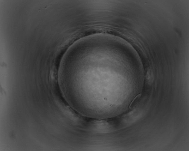 X0000090980424200708021503