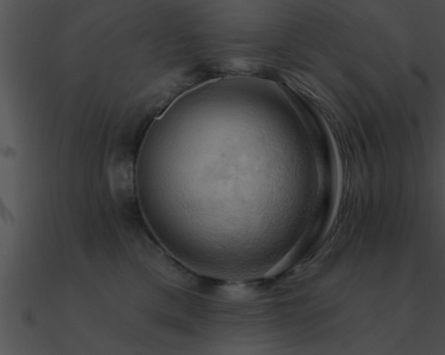 X0000090980425200708021503