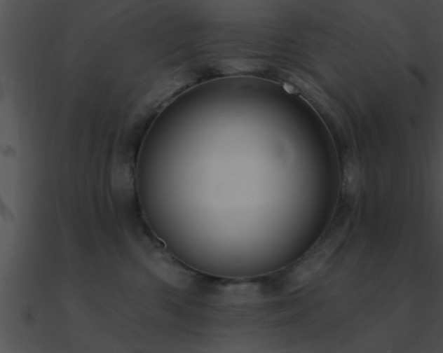X0000090980426200708021503