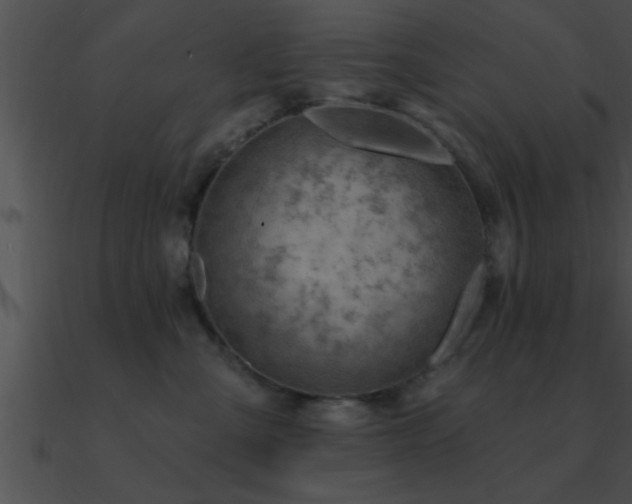 X0000090980427200708021503