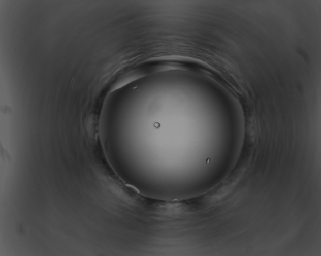 X0000090980428200708021502