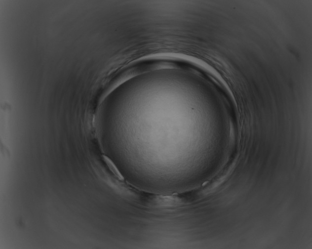 X0000090980429200708021502