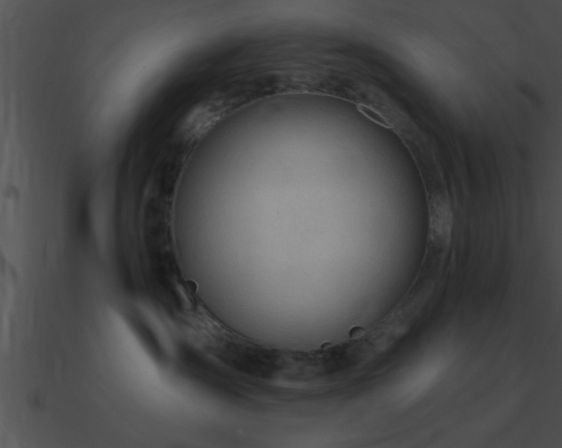 X0000090980431200708021502