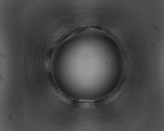 X0000090980432200708021502