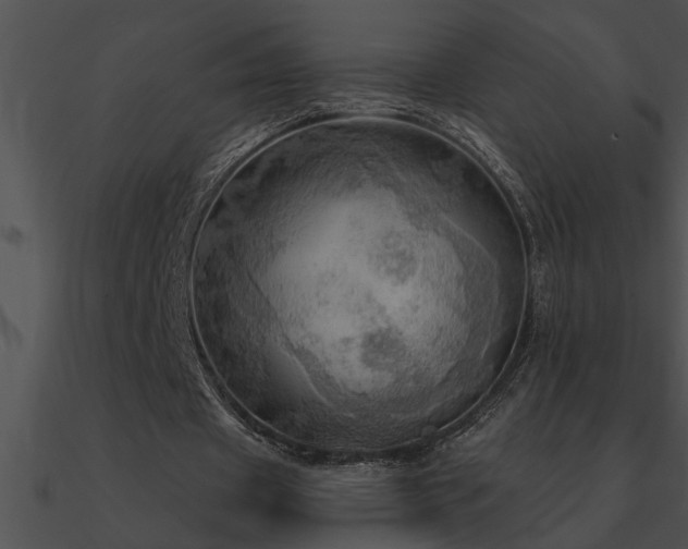 X0000090980433200708021502