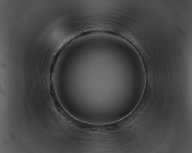 X0000090980434200708021502