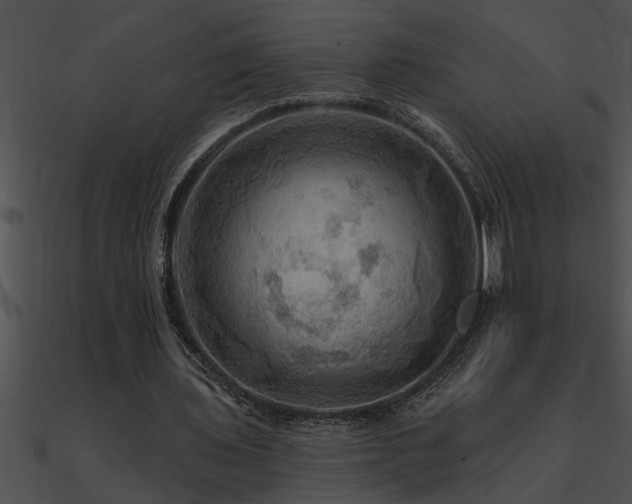X0000090980435200708021502