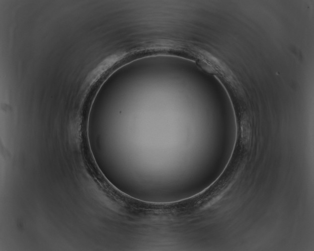 X0000090980436200708021502