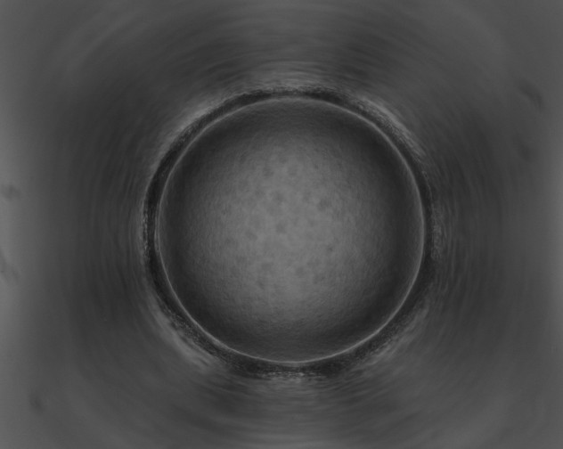 X0000090980439200708021502