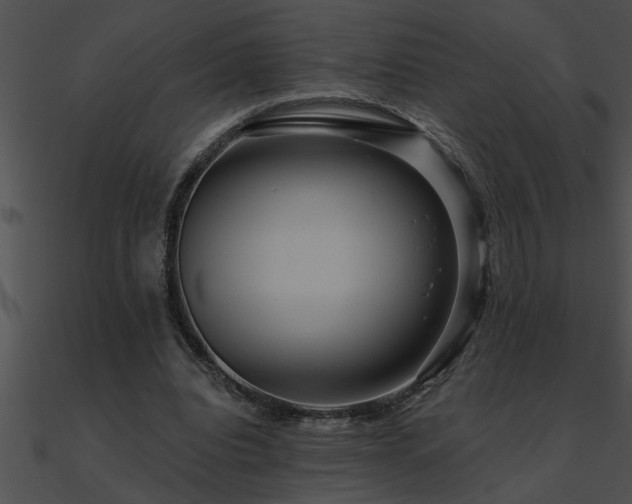 X0000090980440200708021502