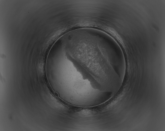 X0000090980441200708021502