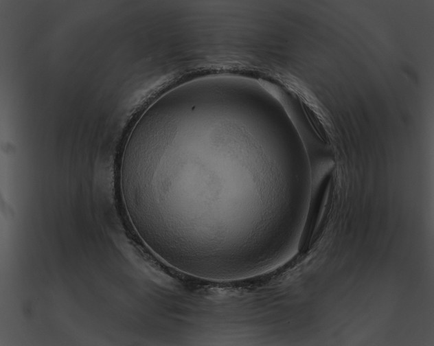 X0000090980442200708021502