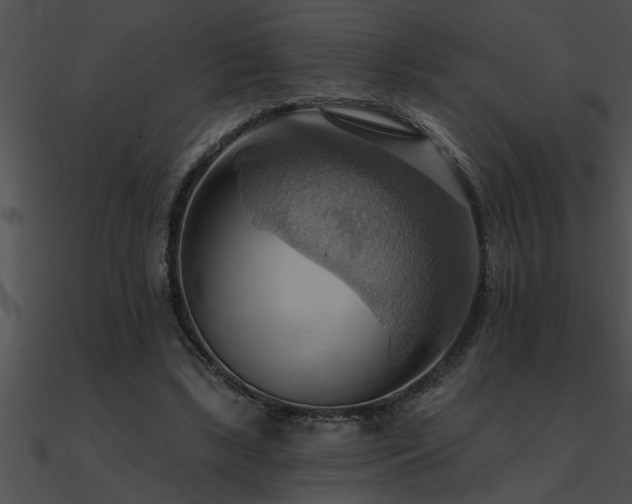 X0000090980443200708021502