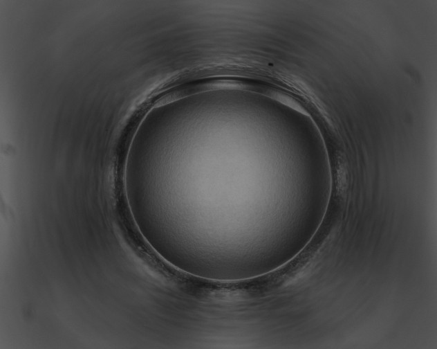 X0000090980444200708021502