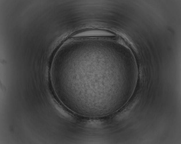 X0000090980445200708021502