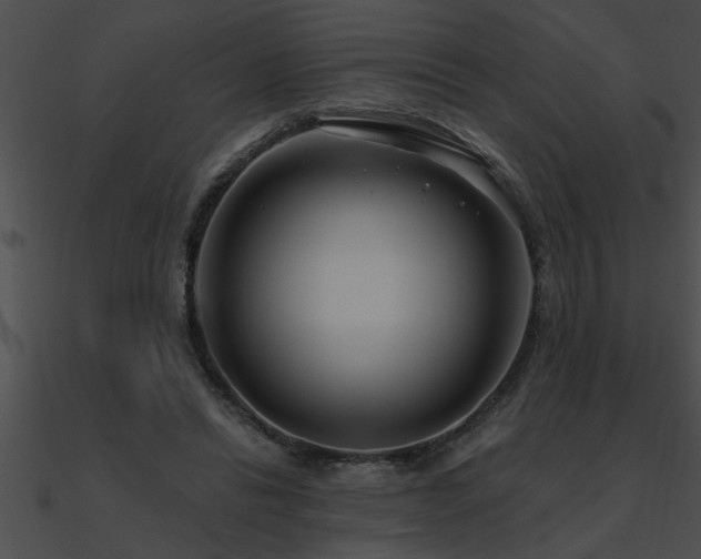 X0000090980446200708021502