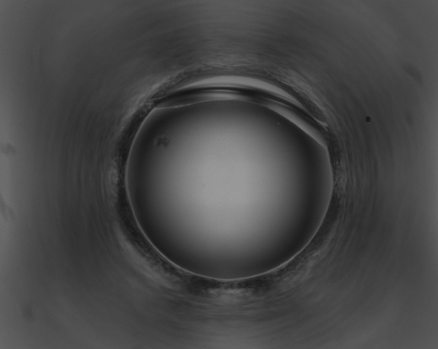 X0000090980448200708021502