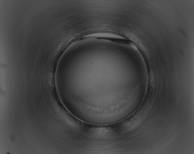 X0000090980449200708021502