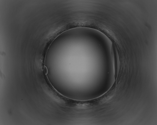 X0000090980450200708021502