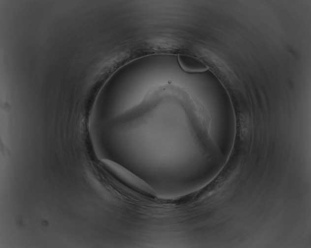 X0000090980451200708021502