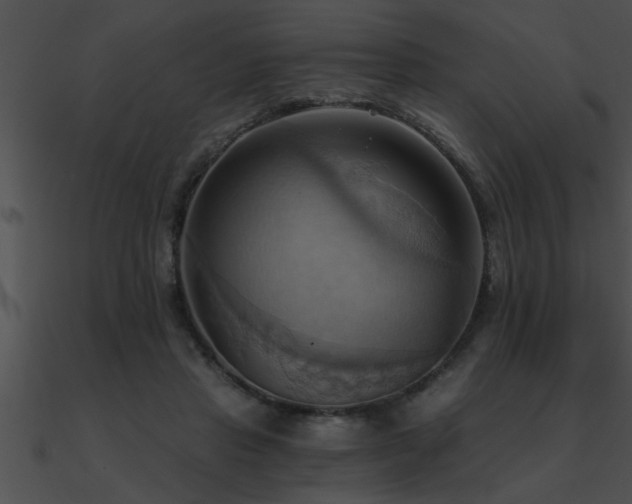 X0000090980453200708021502