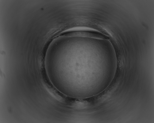 X0000090980455200708021502