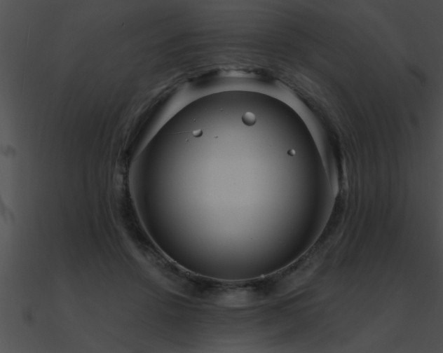 X0000090980456200708021502