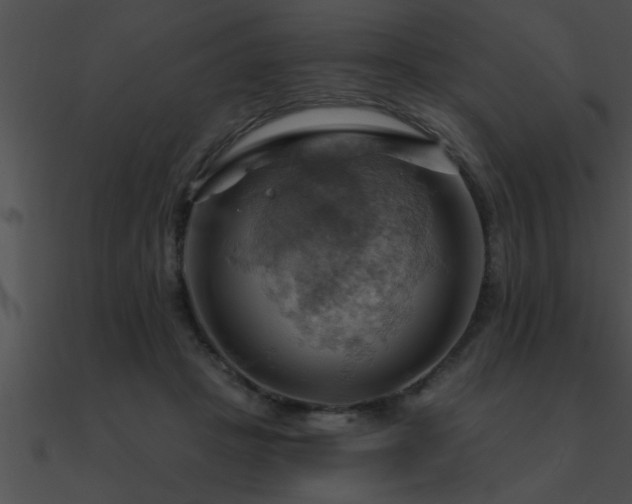 X0000090980457200708021502