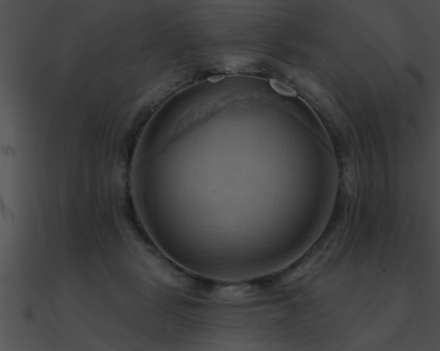 X0000090980461200708021502