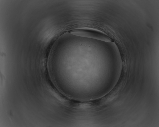 X0000090980462200708021502