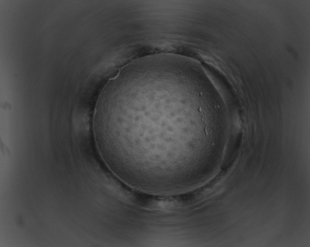 X0000090980466200708021502