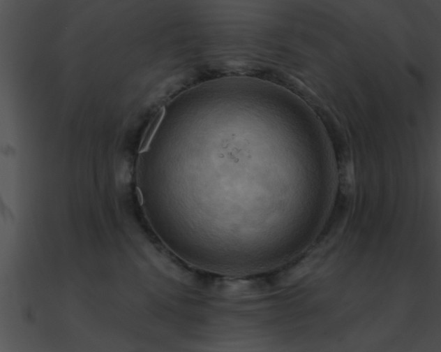 X0000090980472200708021502