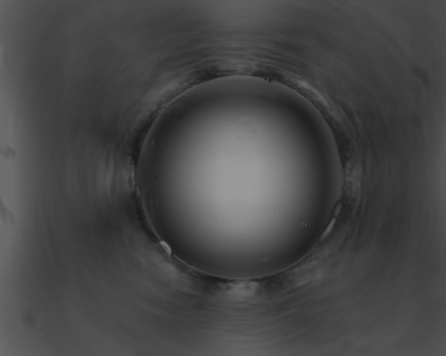 X0000090980474200708021502