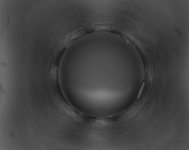 X0000090980475200708021502