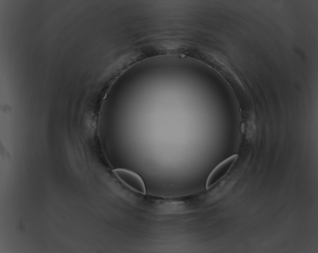 X0000090980476200708021502