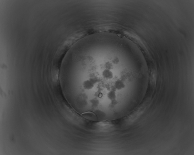 X0000090980477200708021502