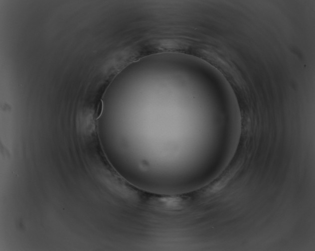 X0000090980478200708021502