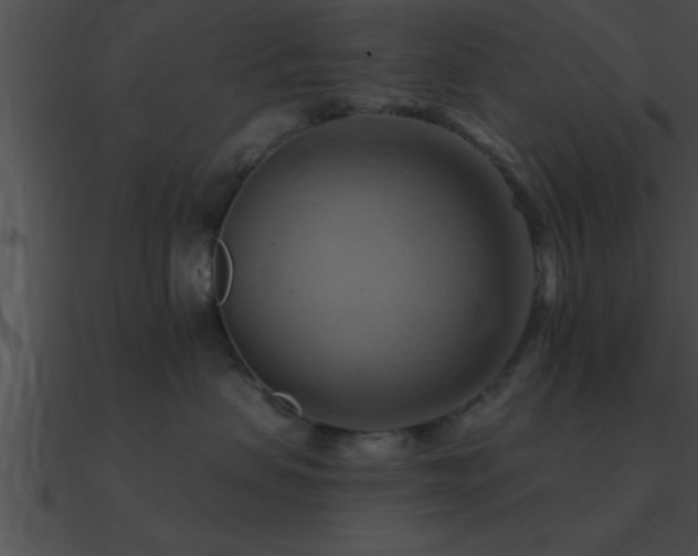 X0000090980479200708021502